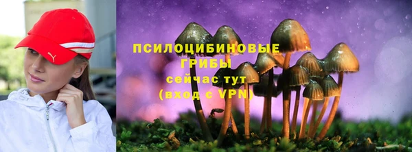 соль ск Алексин
