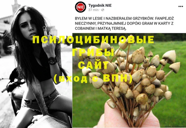 а пвп мука Алексеевка
