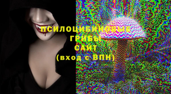 соль ск Алексин
