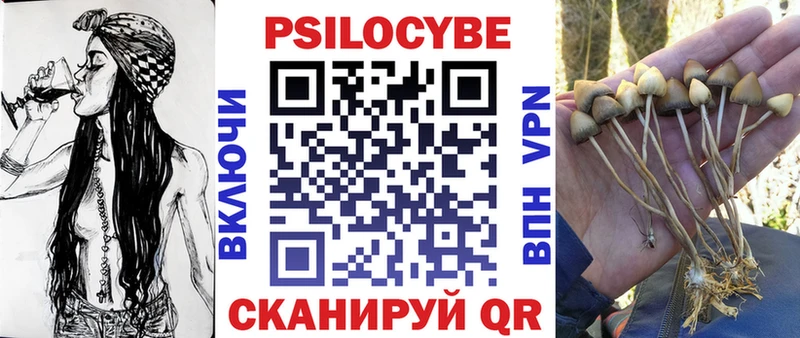гидра маркетплейс  Болгар  Галлюциногенные грибы Psilocybe 